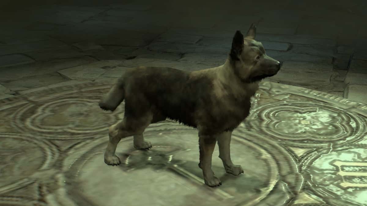 Asheara Pet in Diablo 4