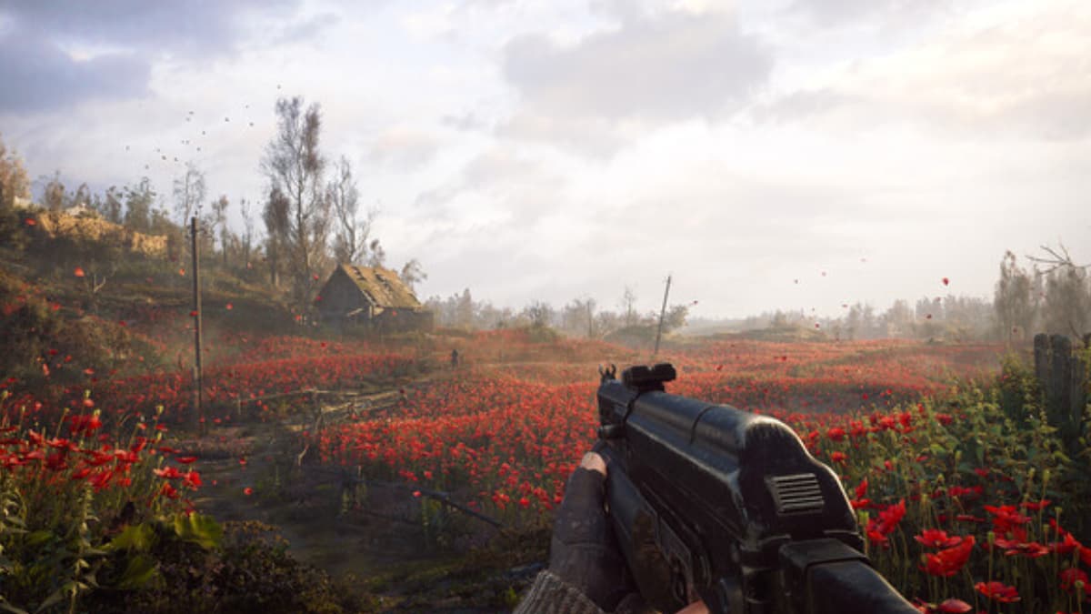 Exploring a field in Stalker 2