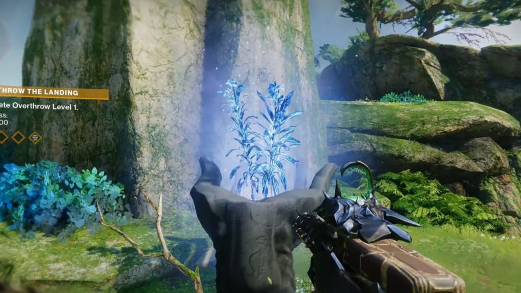 Как получить и использовать люминесцентные семена в Destiny 2