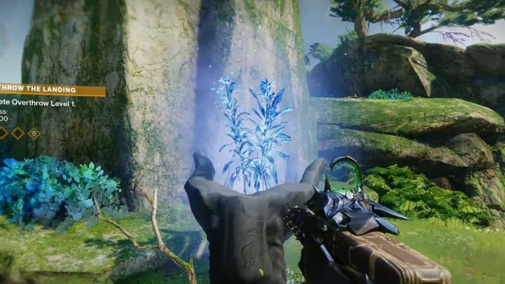 Luminescent Seed flower in Destiny 2