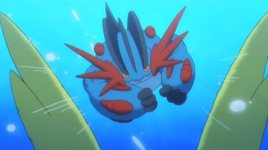 mega swampert in the pokemon anime