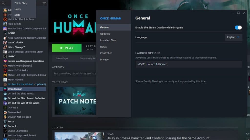 Launch options menu in Steam