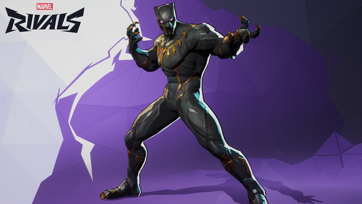 Black Panther in marvel rivals